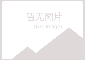 岐山县平庸咨询有限公司